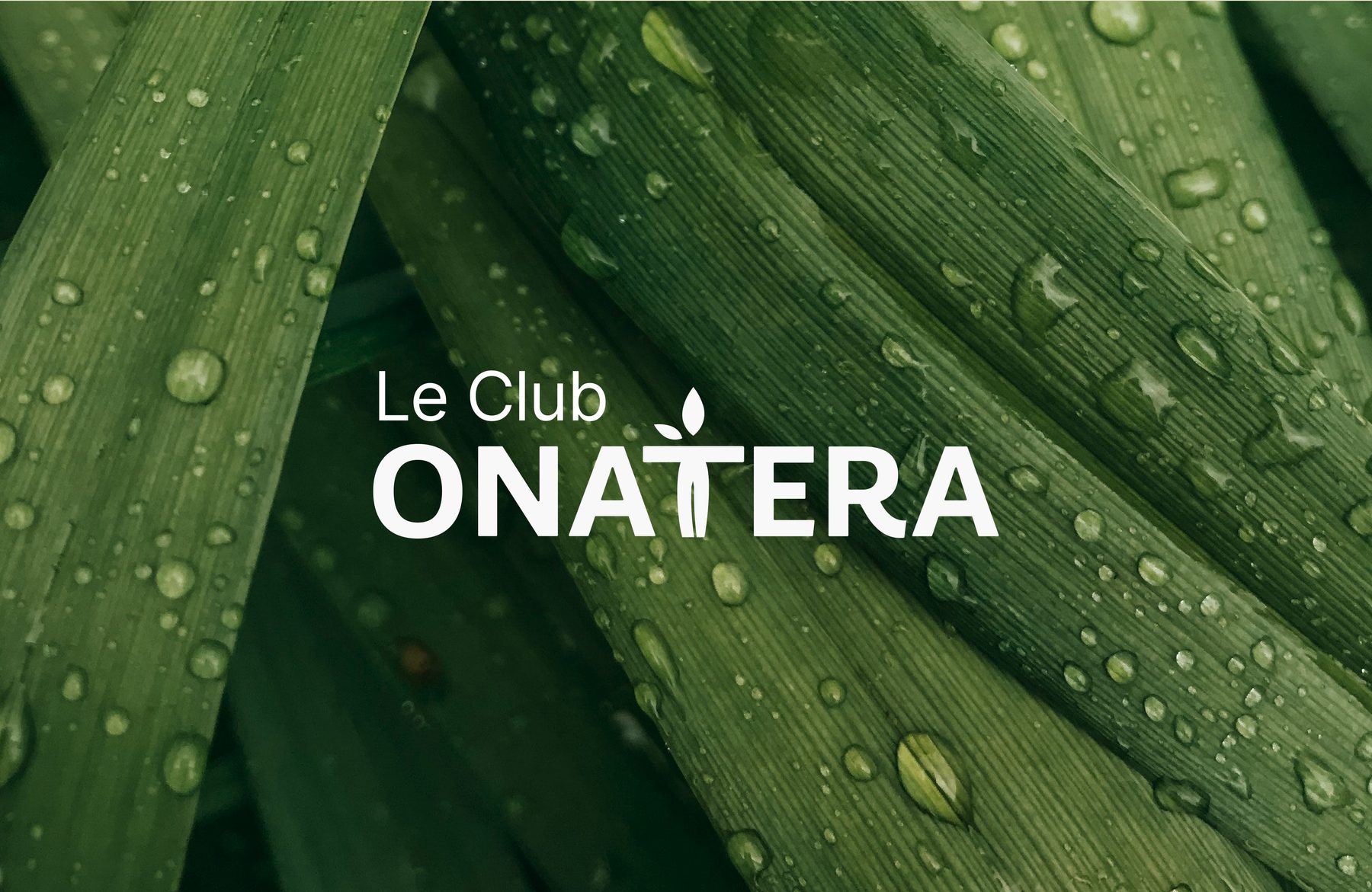 Visuel d'ouverture du Club Onatera, logo posé sur un fond de feuillage vert.